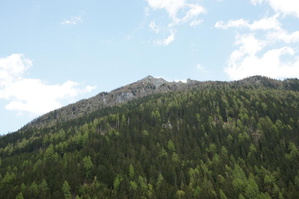 Saeuleck Appartement Inkl Skibus Mallnitz Zewnętrze zdjęcie